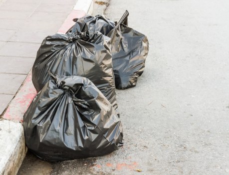 Professional waste removal team at work